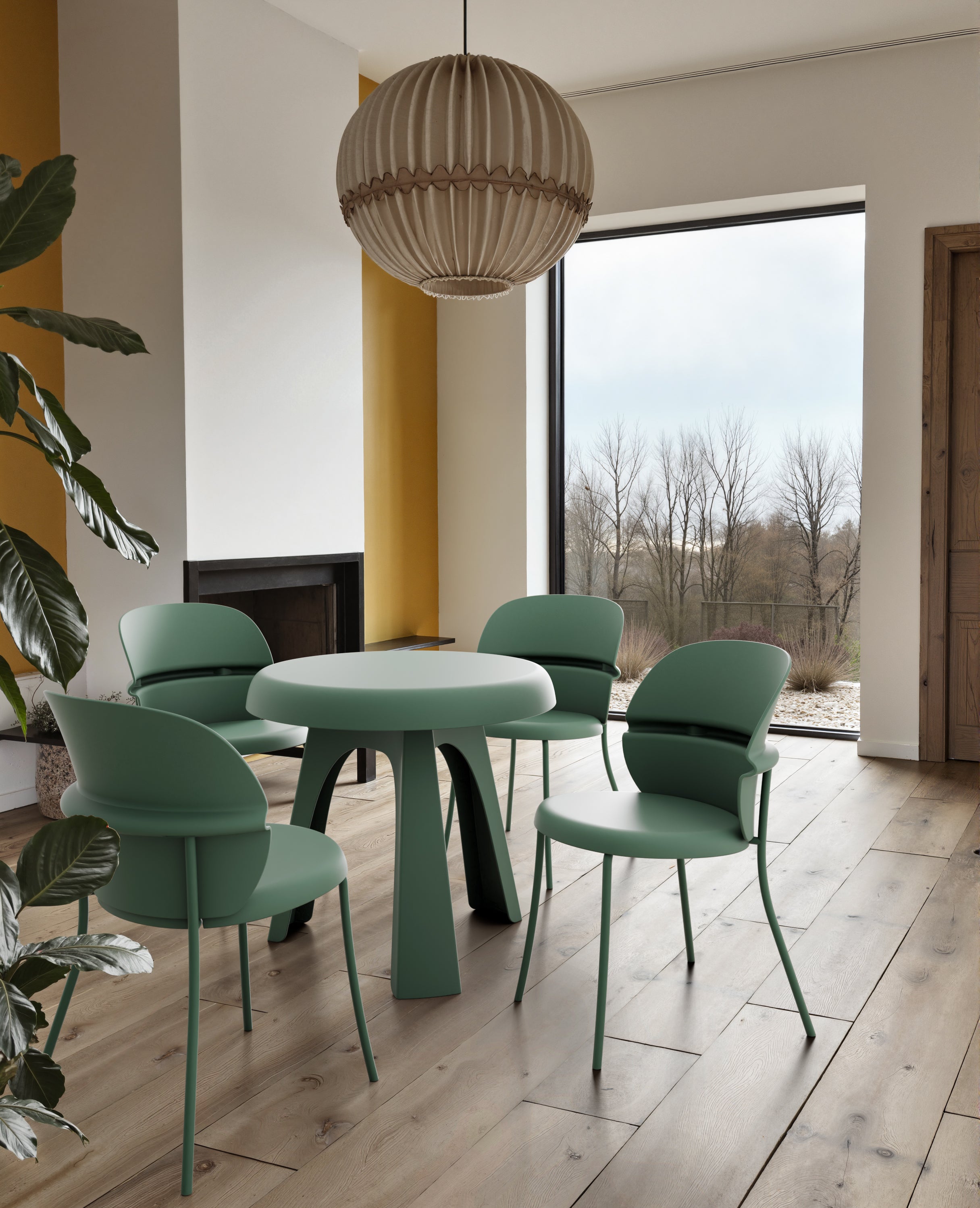 Begonia 5 részes szett